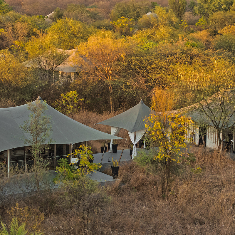 Family Tent