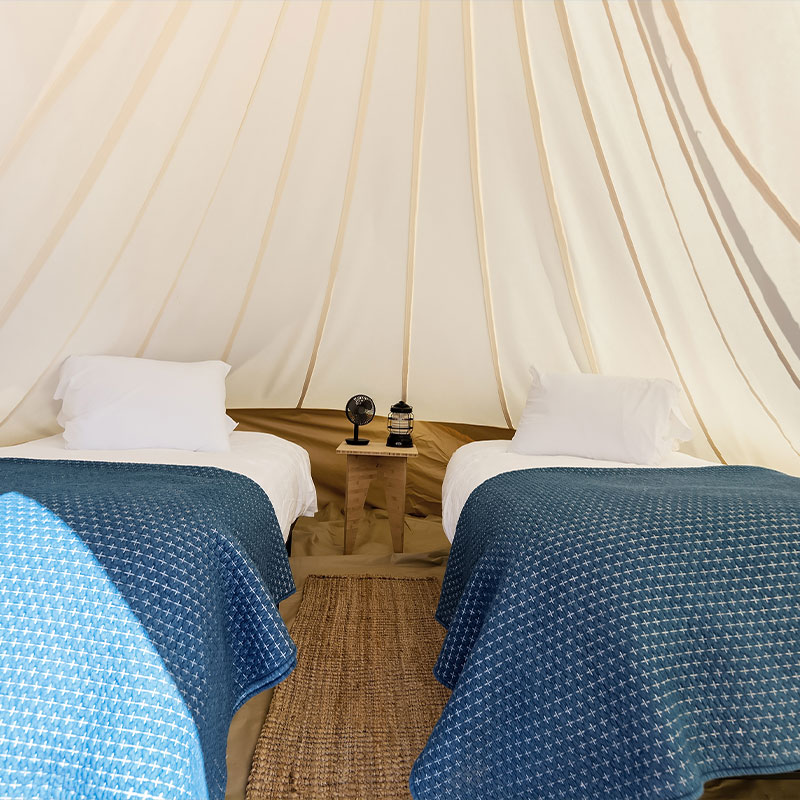 Stargazer with Kids Tent
