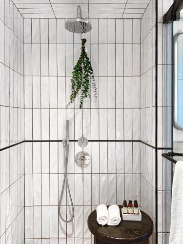 King Room Accessible - Roll-In Shower