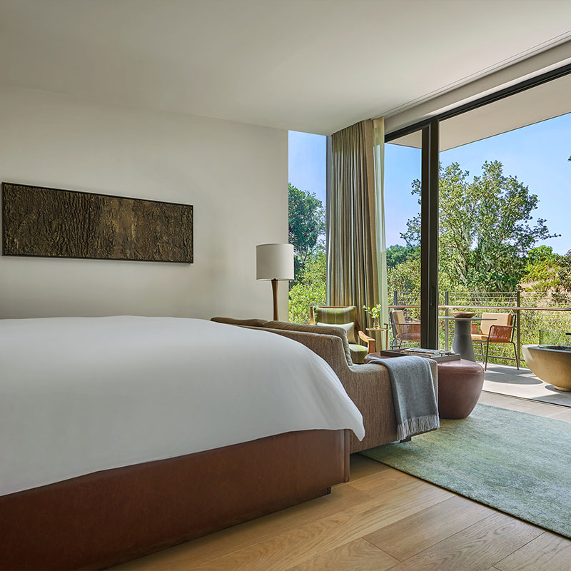 Forest King Room