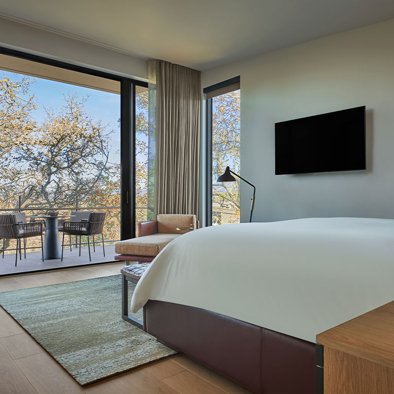 Forest One Bedroom Suite