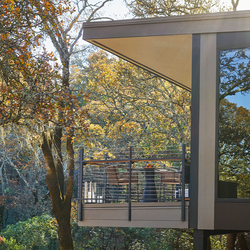 ADA Forest Studio Suite