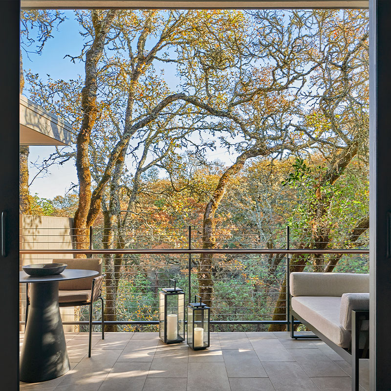 ADA Forest Queen Queen Room