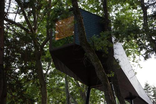 Tree House