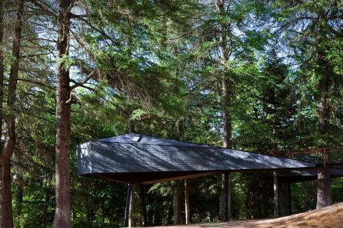 Tree House