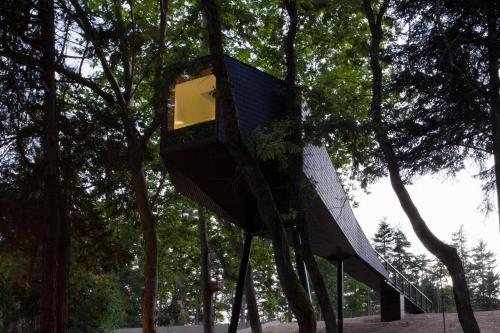 Tree House