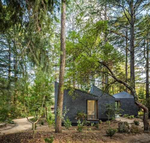 Privilege Bungalow