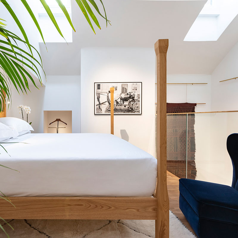 Suite Luxury