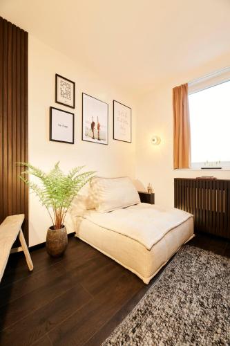 Junior Suite Comfort