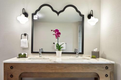 King Studio Suite