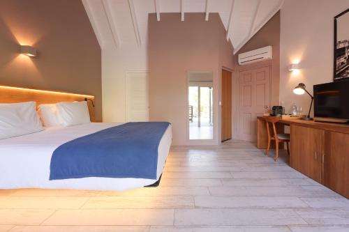 Superior Tropical Garden view room