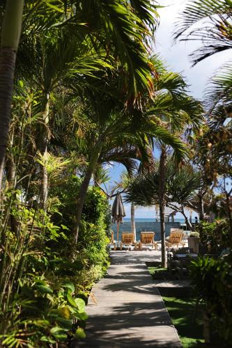 Superior Tropical Garden view room