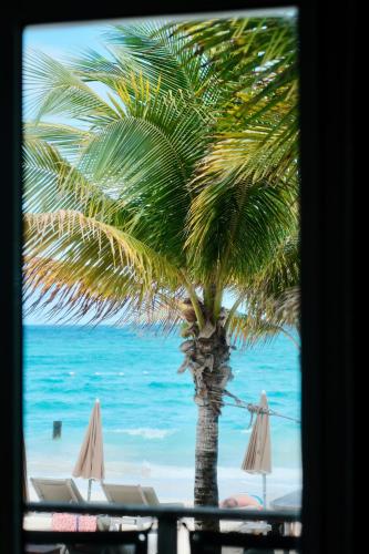 Beach Front Suite