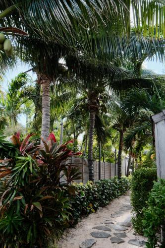 Beach Front Suite