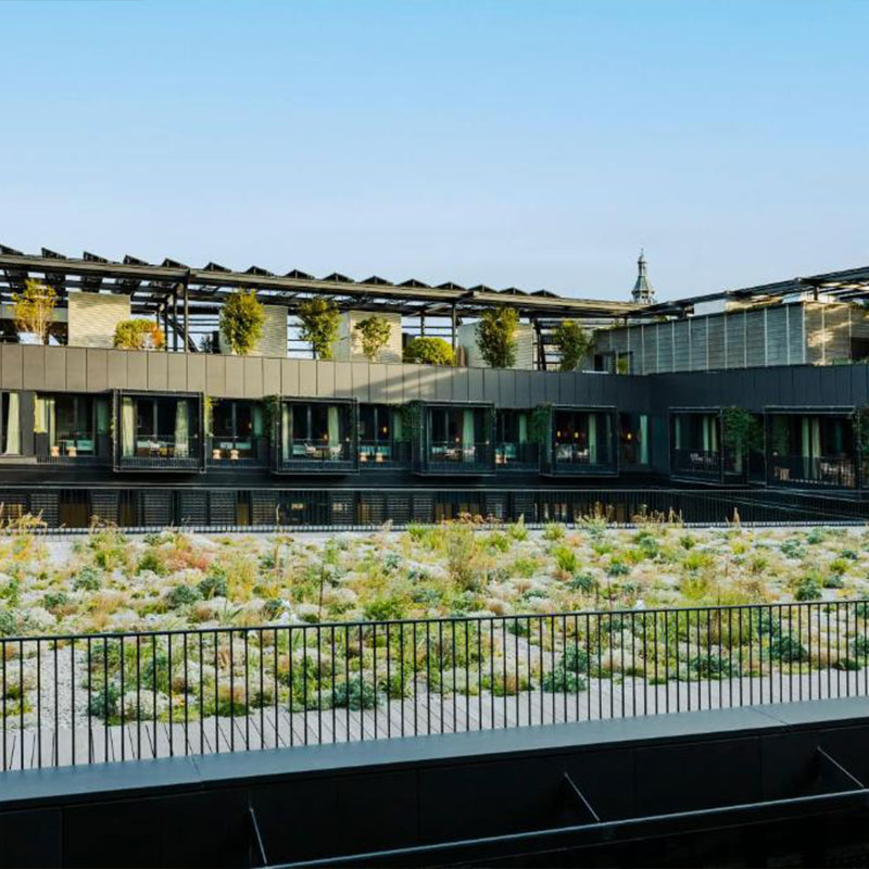 Junior Suite garden view with Terrace