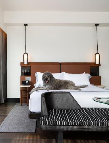 King Room - Accessible with Shower with Grab Bar