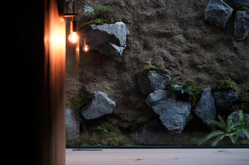 The Roots of Nara (Superior)