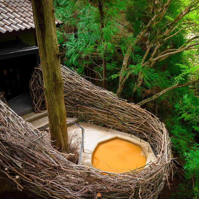 Villa Corvo de Ouro Tree House & Onsen