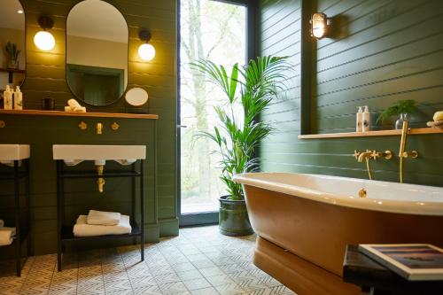 Suite with Hot Tub