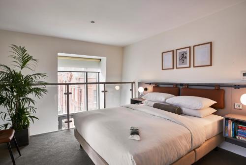 Apartment - Split Level