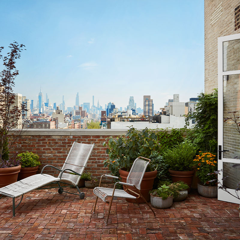 Terrace King