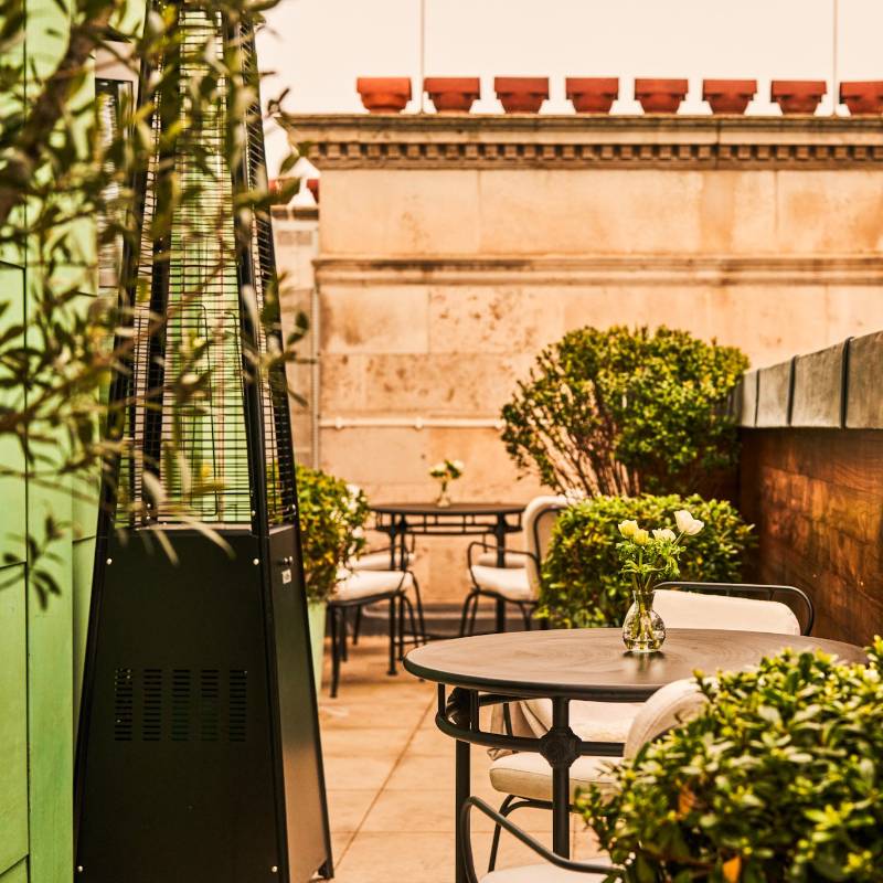 Terrace Suite
