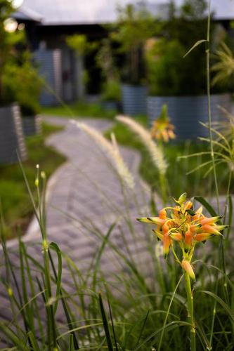 Garden Suite 2 (land based)