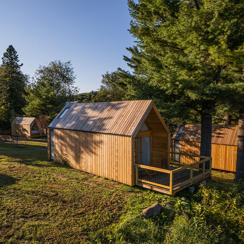 Lushna Suite 