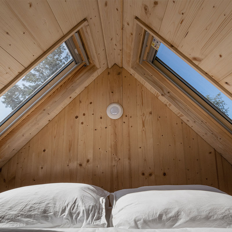 Lushna Suite 
