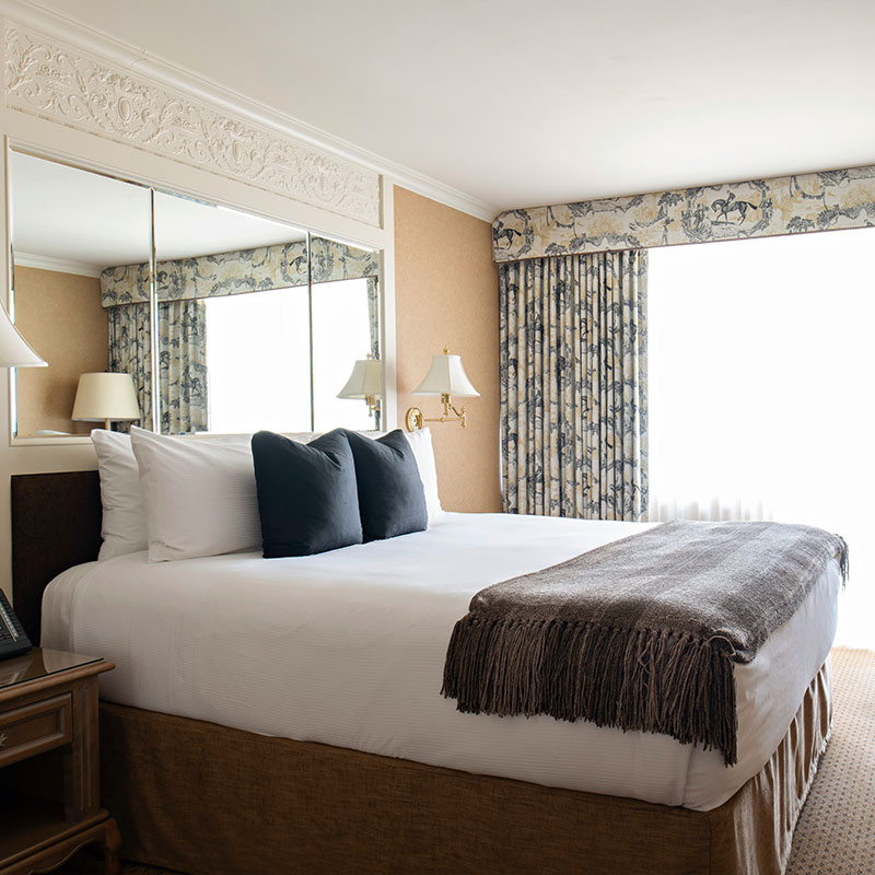 One Bedroom Suite with King Bed