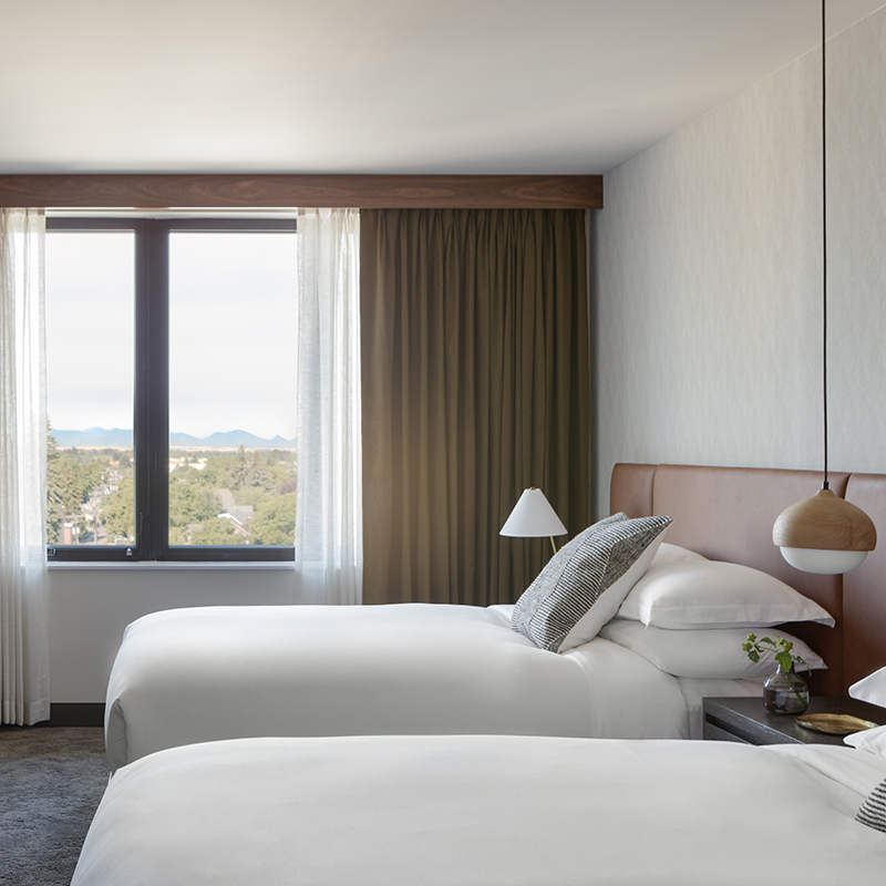 2 Queen Premium Mountain View