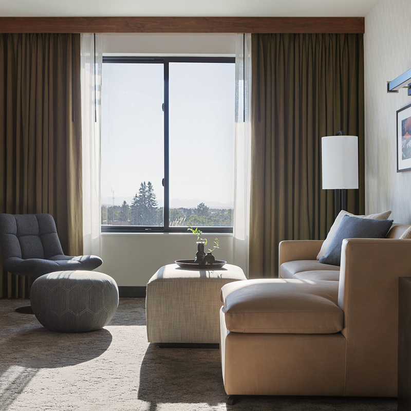1 Bedroom Suite
