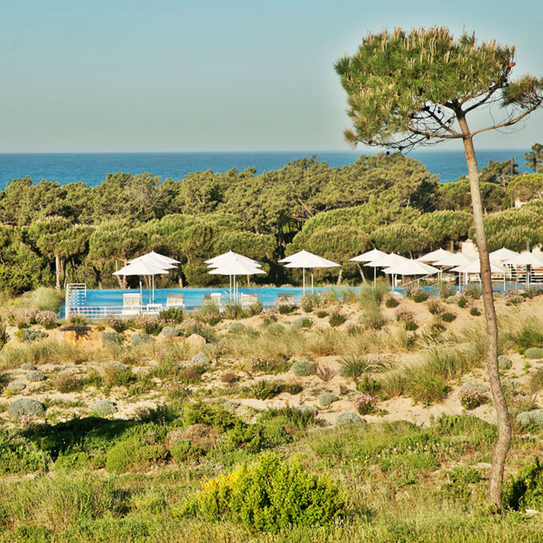 The Oitavos 
