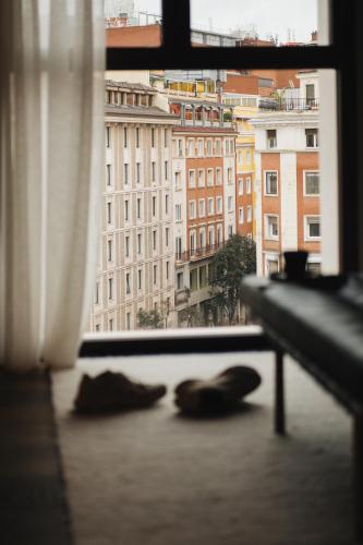 King Room with City View