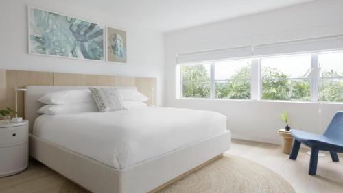 Essential Room 