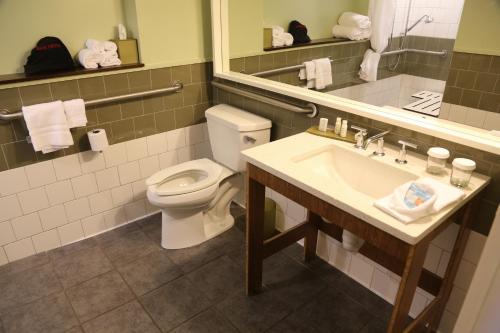 Deluxe King Room - Mobility Access Roll in Shower/Non-Smoking
