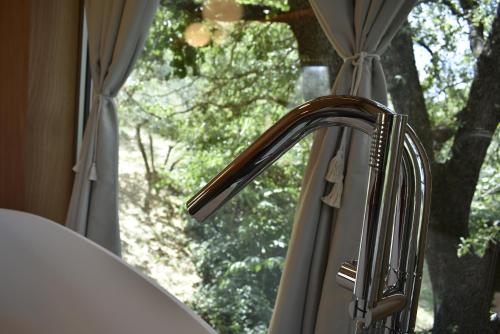 Suite with Terrace
