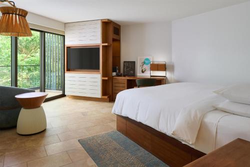 King Room with Resort View