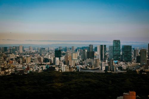 King Room with City View