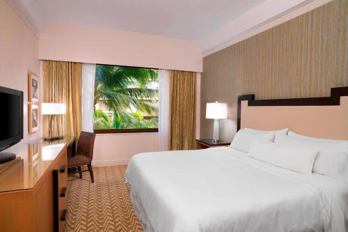 King Room with City View and Roll-in Shower - Mobility Accessible