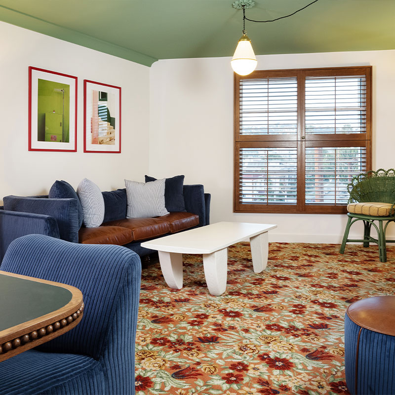 The Suite