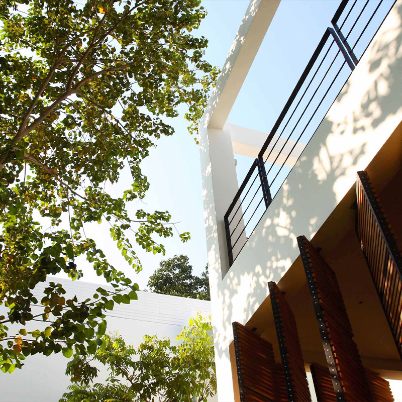 Exotic Suite