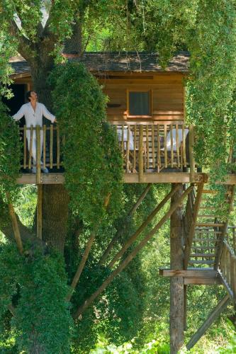 Tree House
