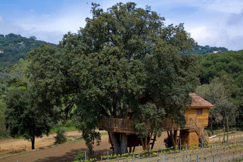 Family Tree House (2 adults + 2 children)