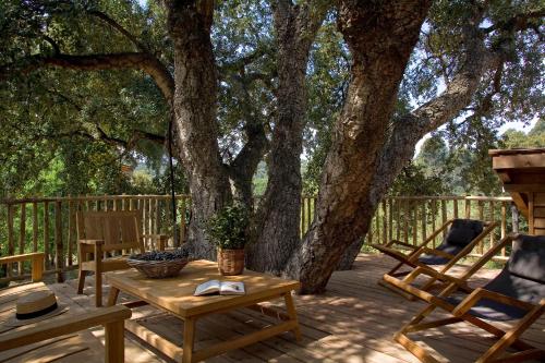 Family Tree House (2 adults + 2 children)