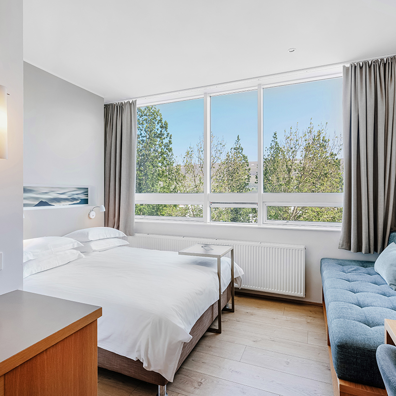 King Guest Room with Sofabed