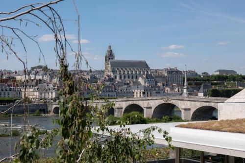 Chambre Deluxe Vue Loire