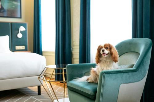 Sapphire Deluxe Room