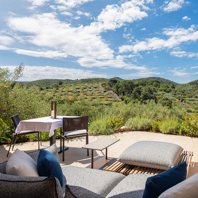 Olive Grove Room