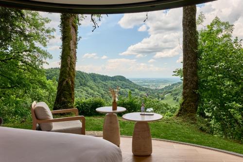 Suite with Mountain View